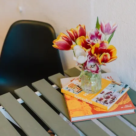 Apartment Gemütliche Rheinblick Residenz Koblenz (Rhineland-Palatinate)
