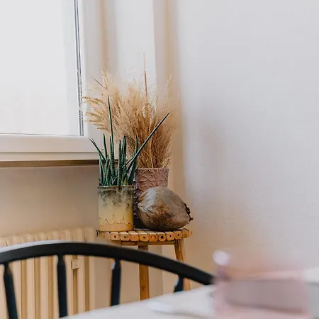 Gemütliche Rheinblick Residenz * Koblenz (Rhineland-Palatinate)