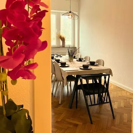 Gemuetliche Rheinblick Residenz Apartment *