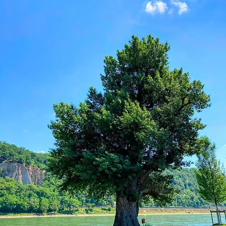 Apartment Gemütliche Rheinblick Residenz Koblenz (Rhineland-Palatinate)