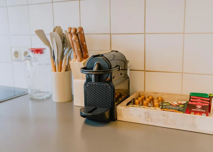 Gemuetliche Rheinblick Residenz Appartement *