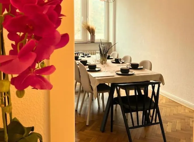 Gemuetliche Rheinblick Residenz Appartement *