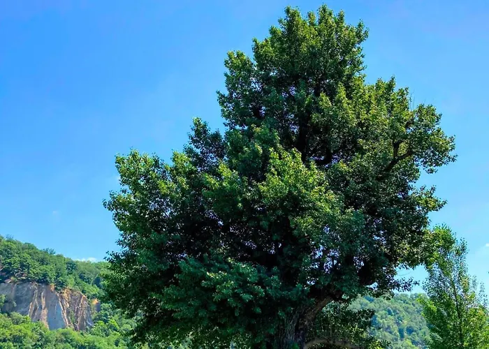 Appartement Gemuetliche Rheinblick Residenz Koblenz (Rhineland-Palatinate)